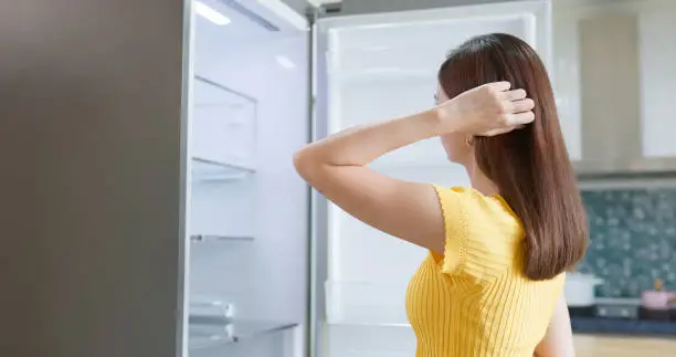 Thomson Refrigerator Vibration and Noise Issue